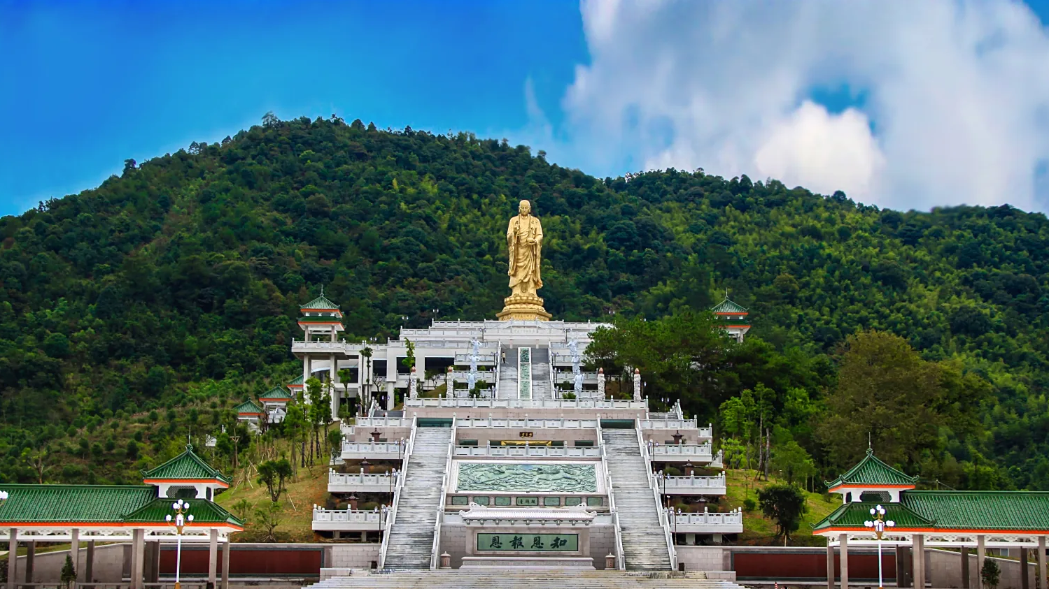 Ӯ���(�й���)-�ٷ���վ